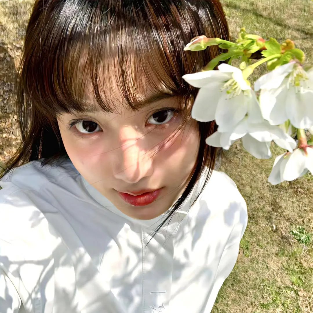 姐妹情仇